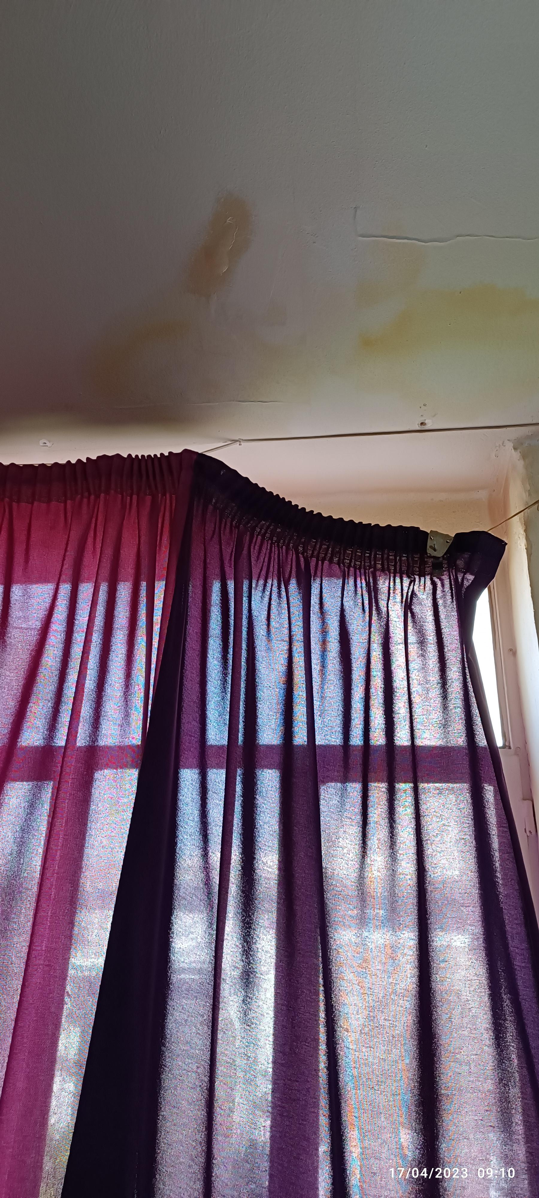 عکس مهمانپذیر گلها