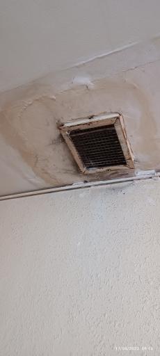 عکس مهمانپذیر گلها