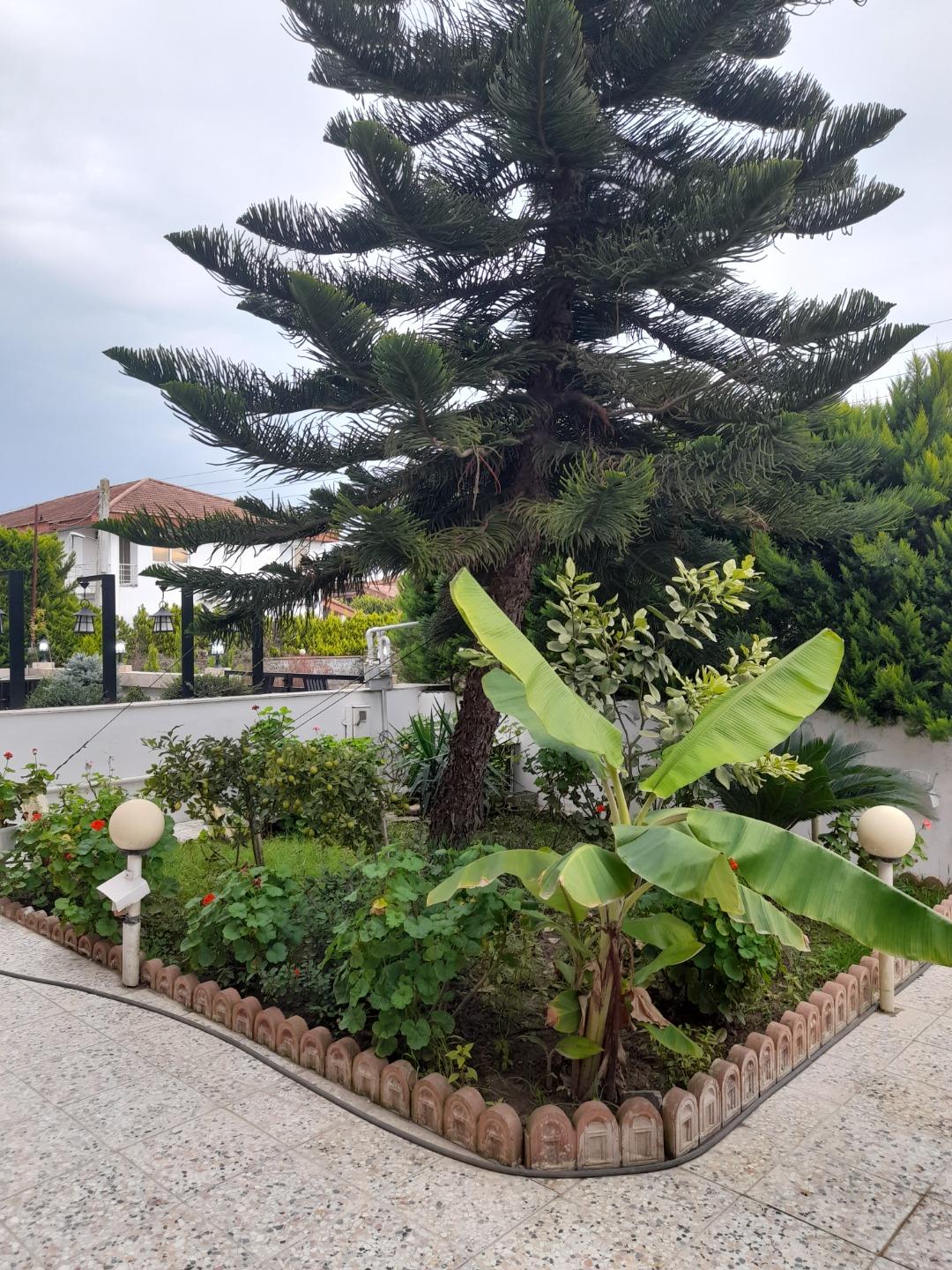 عکس شهرک دریای هفتم