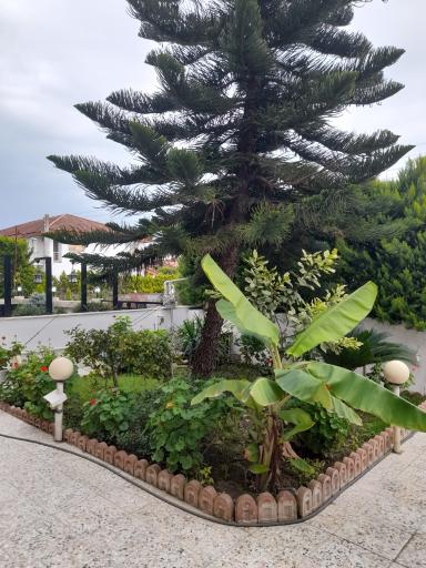 عکس شهرک دریای هفتم