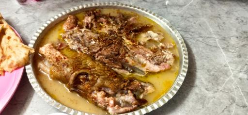 عکس طباخی سحر