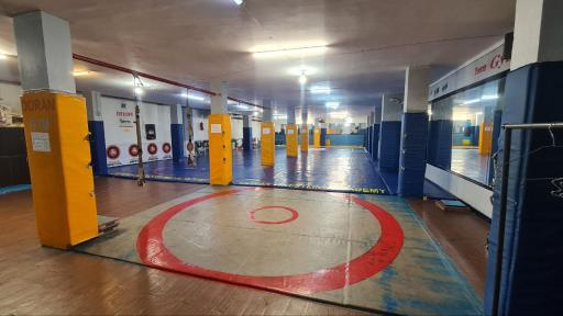 عکس مجموعه ورز‌شی برترینهای دوران