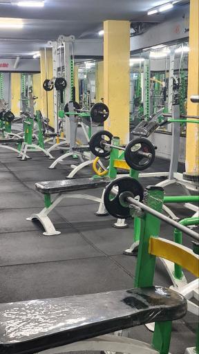 عکس مجموعه ورز‌شی برترینهای دوران