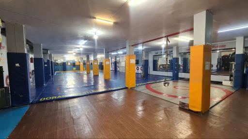 عکس مجموعه ورز‌شی برترینهای دوران