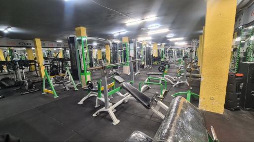 عکس مجموعه ورز‌شی برترینهای دوران