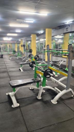 عکس مجموعه ورز‌شی برترینهای دوران