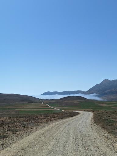 عکس شهمیرزاد