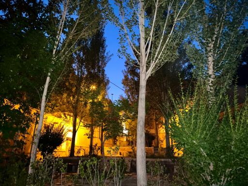 عکس شهمیرزاد