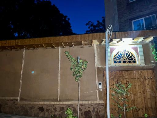 عکس شهمیرزاد