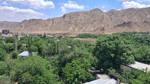 عکس شهمیرزاد