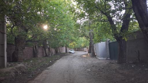 عکس شهمیرزاد