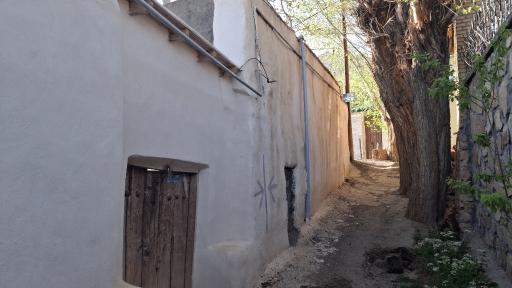 عکس شهمیرزاد