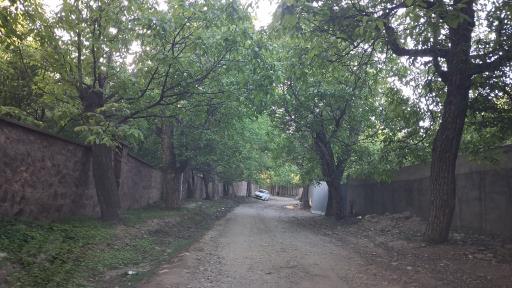 عکس شهمیرزاد