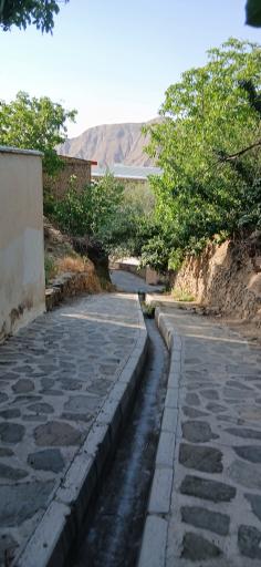 عکس شهمیرزاد