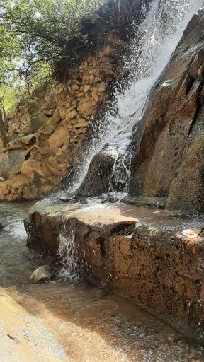 عکس شهمیرزاد