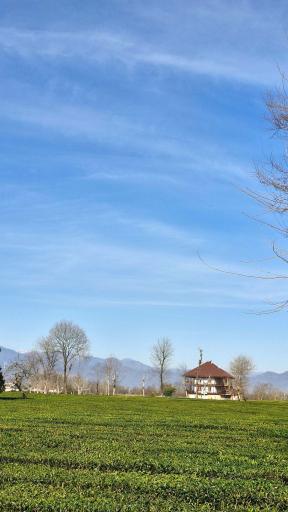 عکس هتل معین فومن