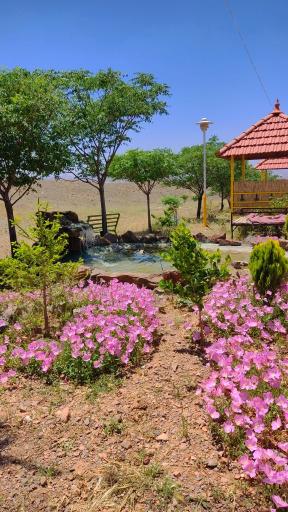 عکس کافه رستوران میرزا 