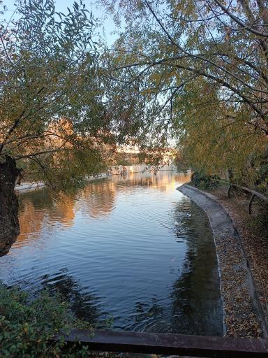 عکس غذای سنتی پل چوبی