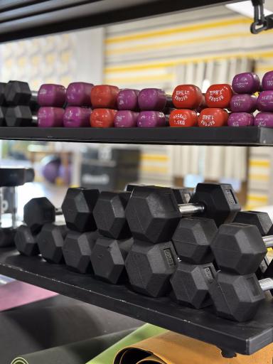 عکس باشگاه ورزشی زرین