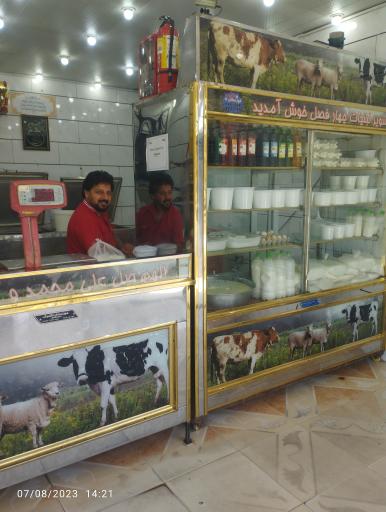 عکس لبنیاتی چهار فصل