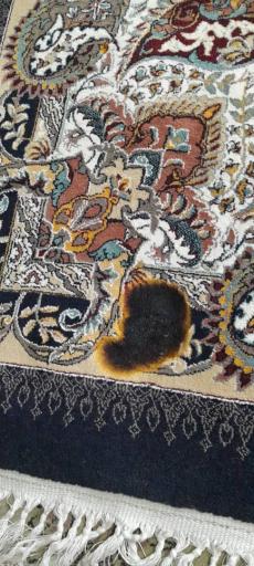 عکس قالیشویی نگین یزد