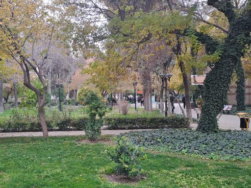 عکس بوستان رز