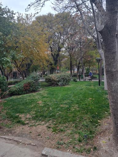 عکس بوستان رز