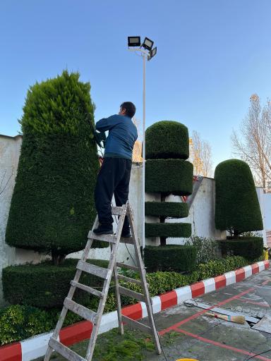 عکس مجتمع توريستى اقامتى ساحلى امیرسرا