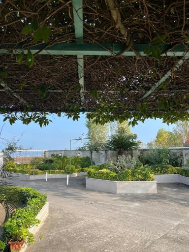 عکس مجتمع توريستى اقامتى ساحلى امیرسرا