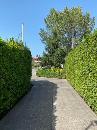 عکس مجتمع توريستى اقامتى ساحلى امیرسرا