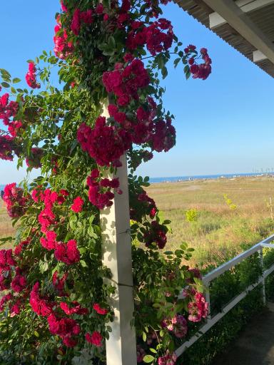 مجتمع توريستى اقامتى ساحلى امیرسرا