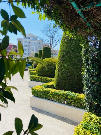 عکس مجتمع توريستى اقامتى ساحلى امیرسرا