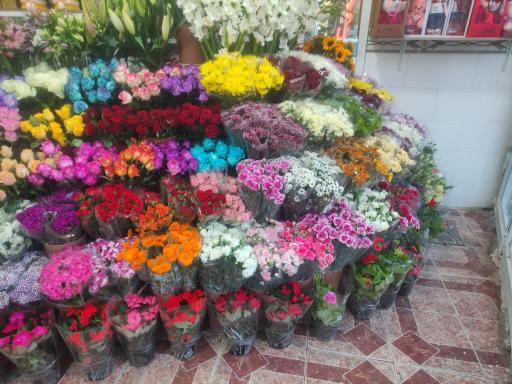 عکس گل فروشی پالرمو