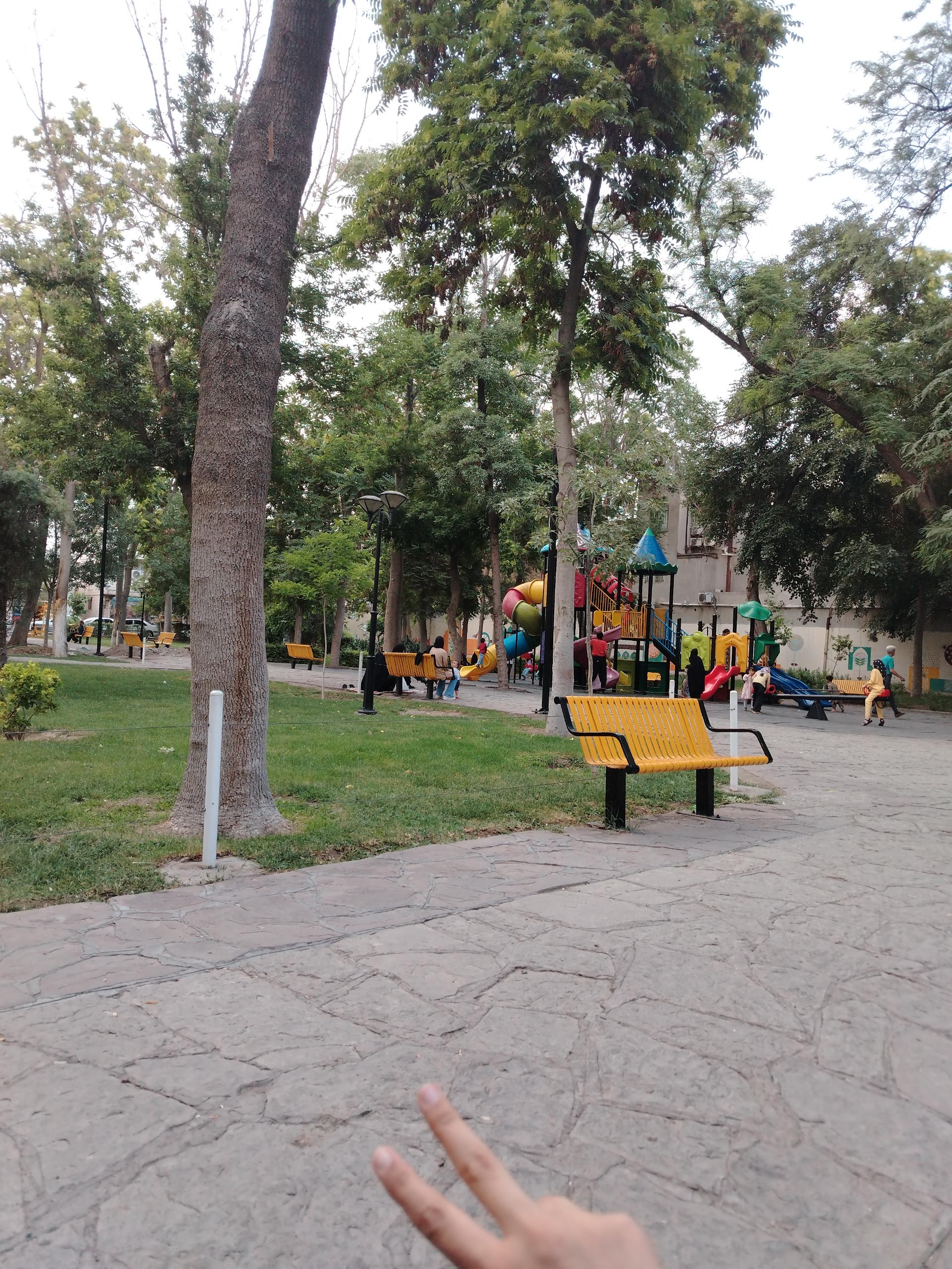 عکس بوستان رز