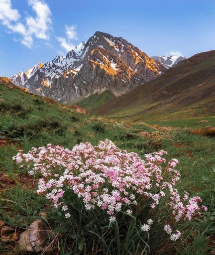 عکس بام ازنا