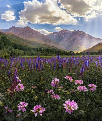 عکس بام ازنا