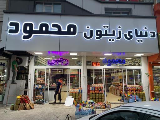 عکس دنیای زیتون محمود