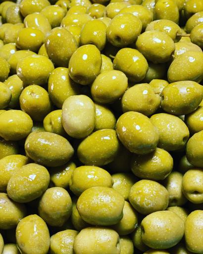 عکس دنیای زیتون محمود