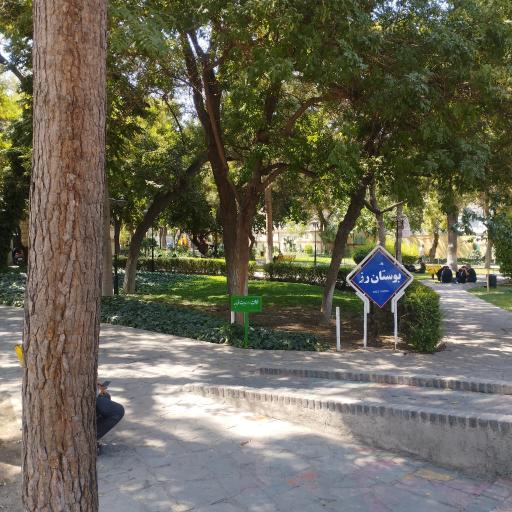 عکس بوستان رز