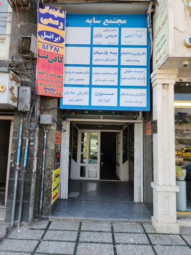 عکس  دکتر رامین راه انجام