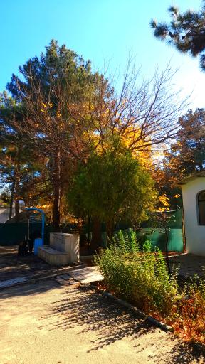 عکس اردوگاه استانی شهید محمد منتظری