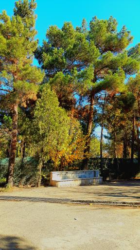 عکس اردوگاه استانی شهید محمد منتظری