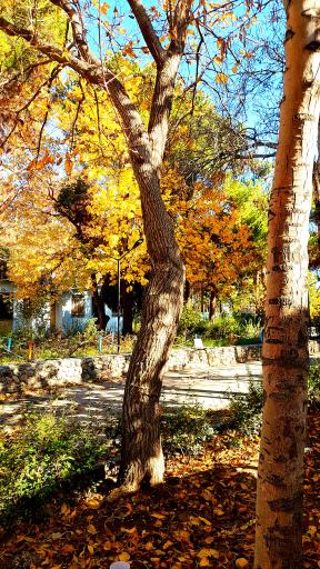 عکس اردوگاه استانی شهید محمد منتظری