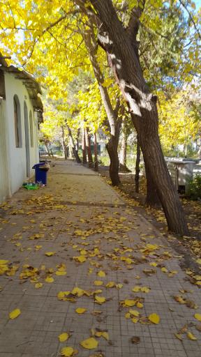 عکس اردوگاه استانی شهید محمد منتظری