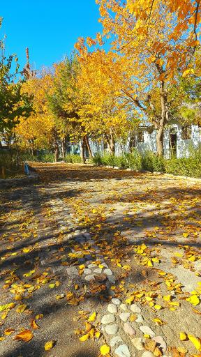 عکس اردوگاه استانی شهید محمد منتظری
