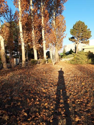 عکس پارک ملی علم و فناوری کشاورزی و منابع طبیعی کشور 