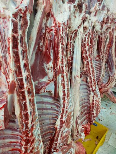 عکس کباب خانه دوزلی