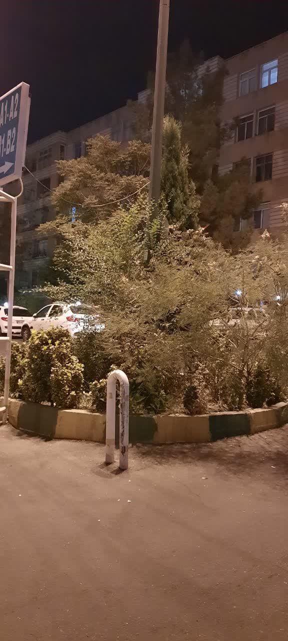 عکس میدان دانش