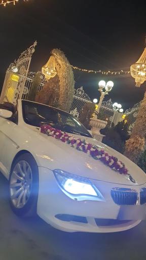 عکس عمارت الماس