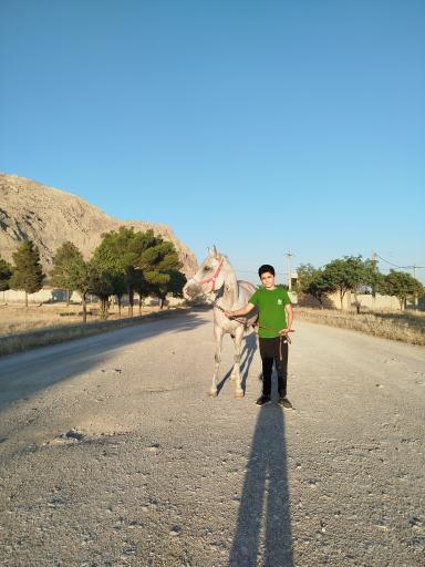 عکس مجموعه باشگاه اسب سواری بردیا